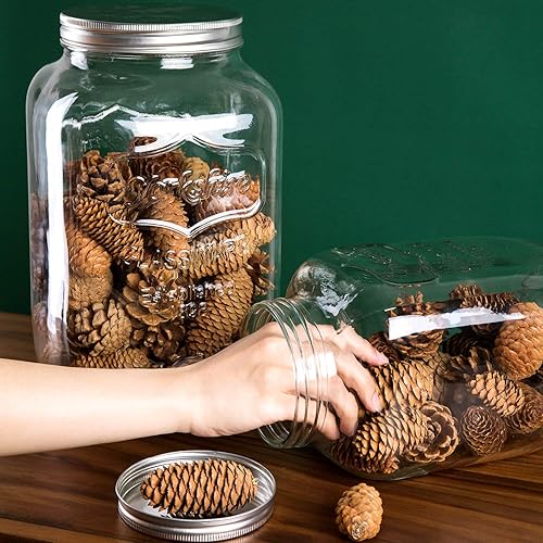 Miniatura 4 de Diamond Star Tarro de almacenamiento de vidrio grande para conservas de boca ancha con tapa de lata cepillada (1 galón)