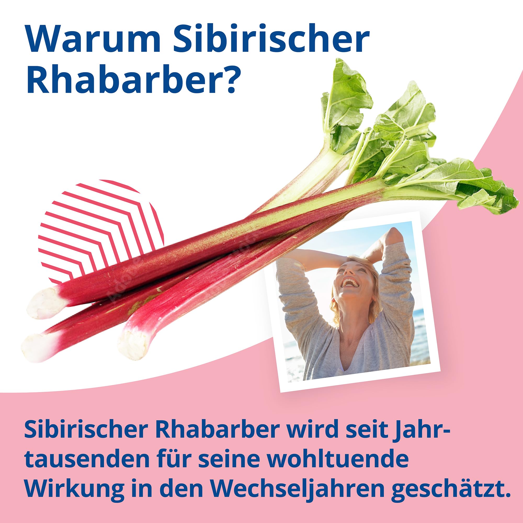 MENO VITAL – Natürliches Wohlbefinden in der Menopause - 60 vegane Kapseln mit Traubenkernextrakt, Rotklee und Rhabarbar Extrakt - Hormon Balance Frauen in Wechseljahre