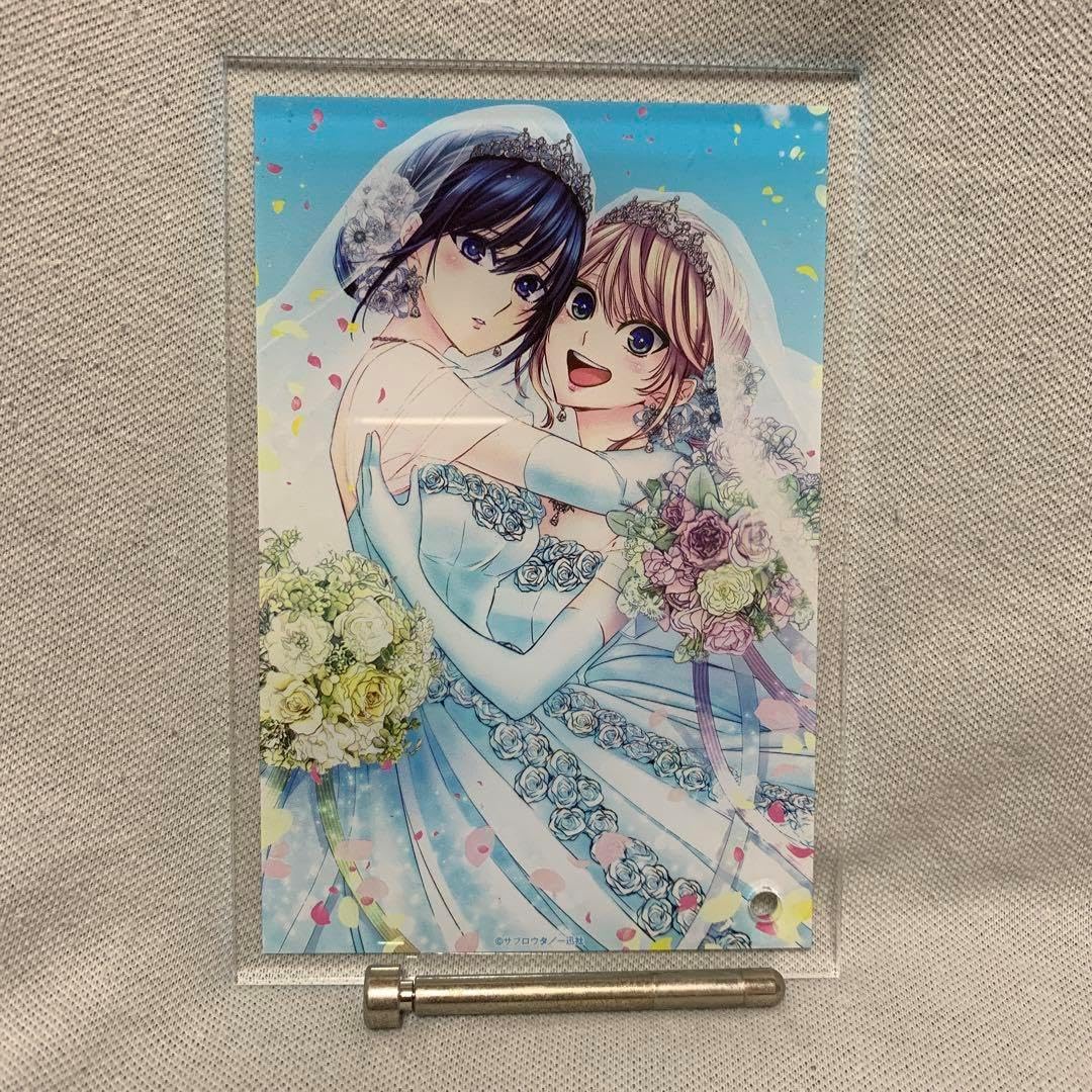 citrus展 アクリルパネル citrus 展 シトラス 藍原柚子 藍原芽依