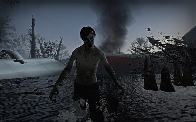 Amazon Left 4 Dead 2 日本語版 アダルトpcゲーム Pcソフト