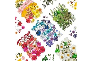 170+ Pcs Pressed Floral Resin Embellishments