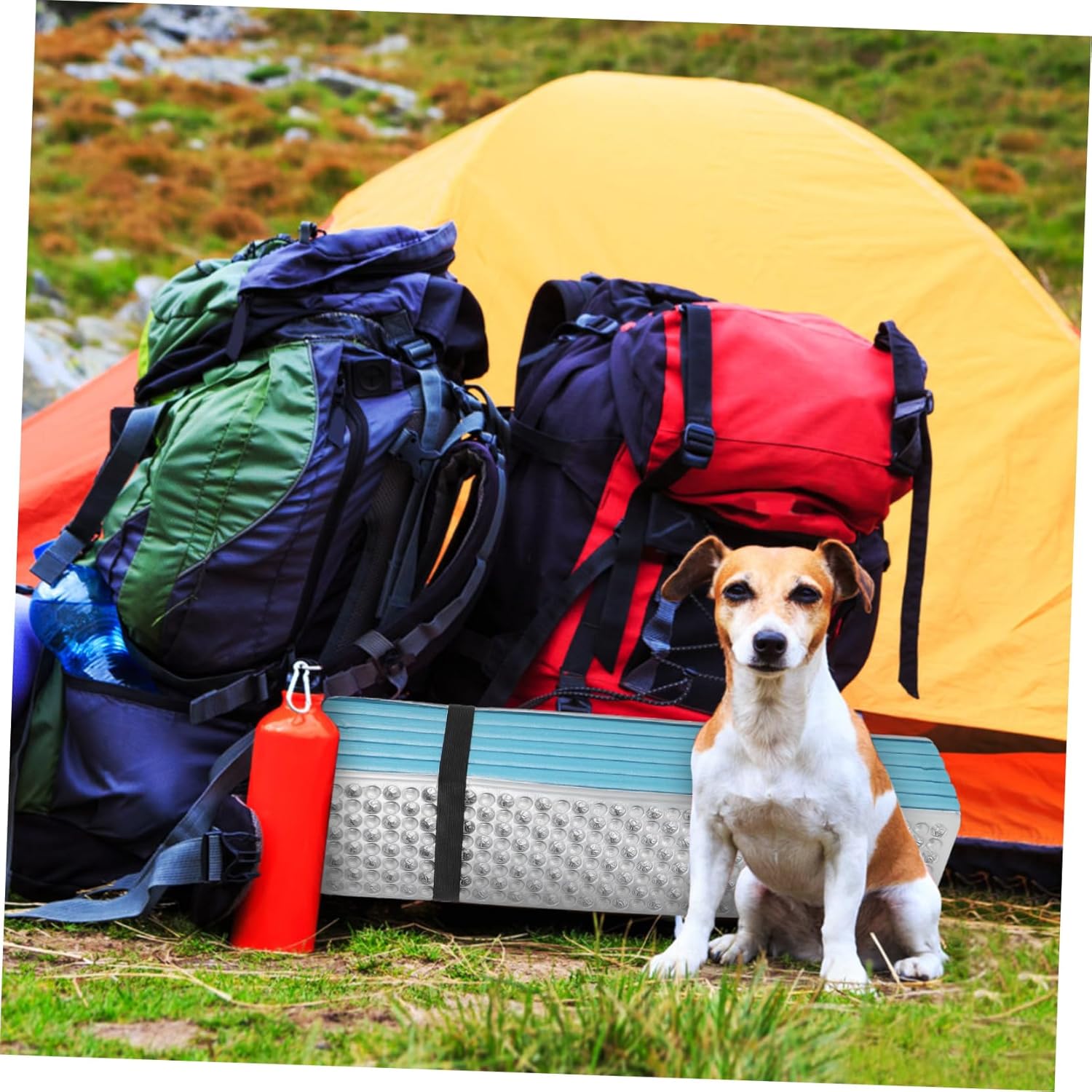 BESTonZON Folding Camping Mat Thick Insulated Foam Sleeping Pad for Outdoor Use Lightweight Portable Design for Backpacking Hiking and Extra Sleeping Surface Blue