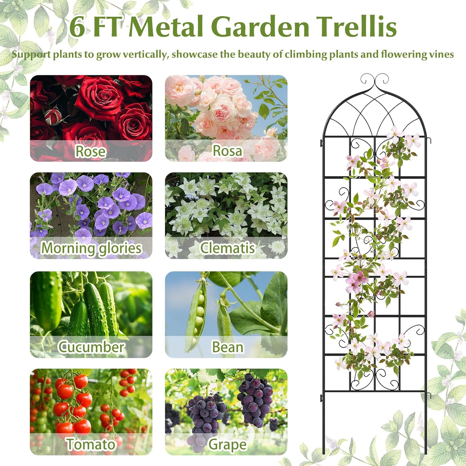 Giantex 2 Packs 71"x20" Metal Garden Trellis for Outdoor Climbing Plants, Heavy-Duty Plant Support for Vine Rose Vegetable Flower, Rustproof Black Metal Coating Patio Trellis Arch Decorative Fence