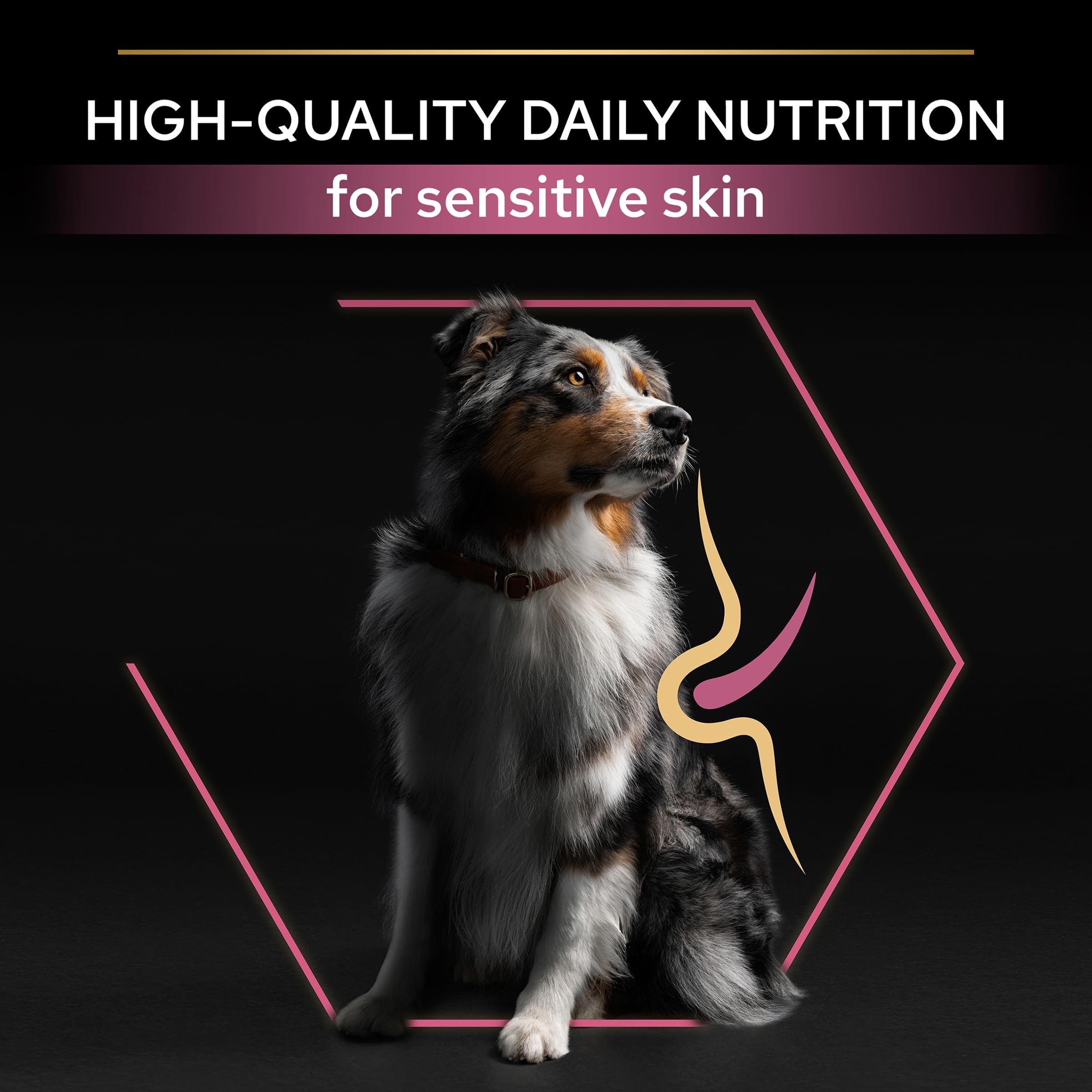 PURINA PRO PLAN | Sensitive Skin | Croquettes complètes pour chiens de moyenne et grande taille de plus de 7 ans | Favorise une peau saine et un pelage brillant | Au Saumon | Croquettes | Sac | 14 Kg