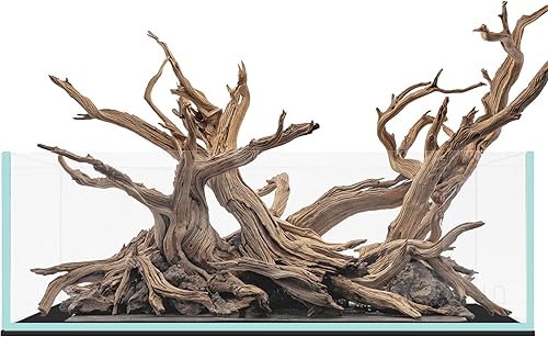 Miniatura 100 de Ultum Nature Systems - Acuario sin marcos ultratransparente, cristal con poco hierro, bordes con corte a inglete a 45º, grosor de 13/64 a 15/32