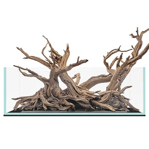 Rimless Paludarium - 5.9GAL