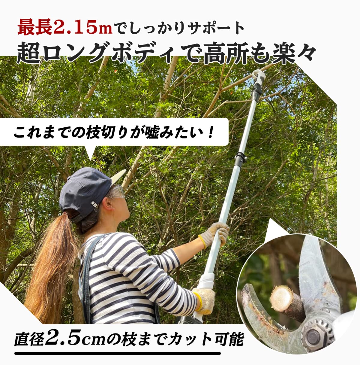 Amazon | 電動高枝バキバキシリーズ 電動高枝切りバサミバキバキ君