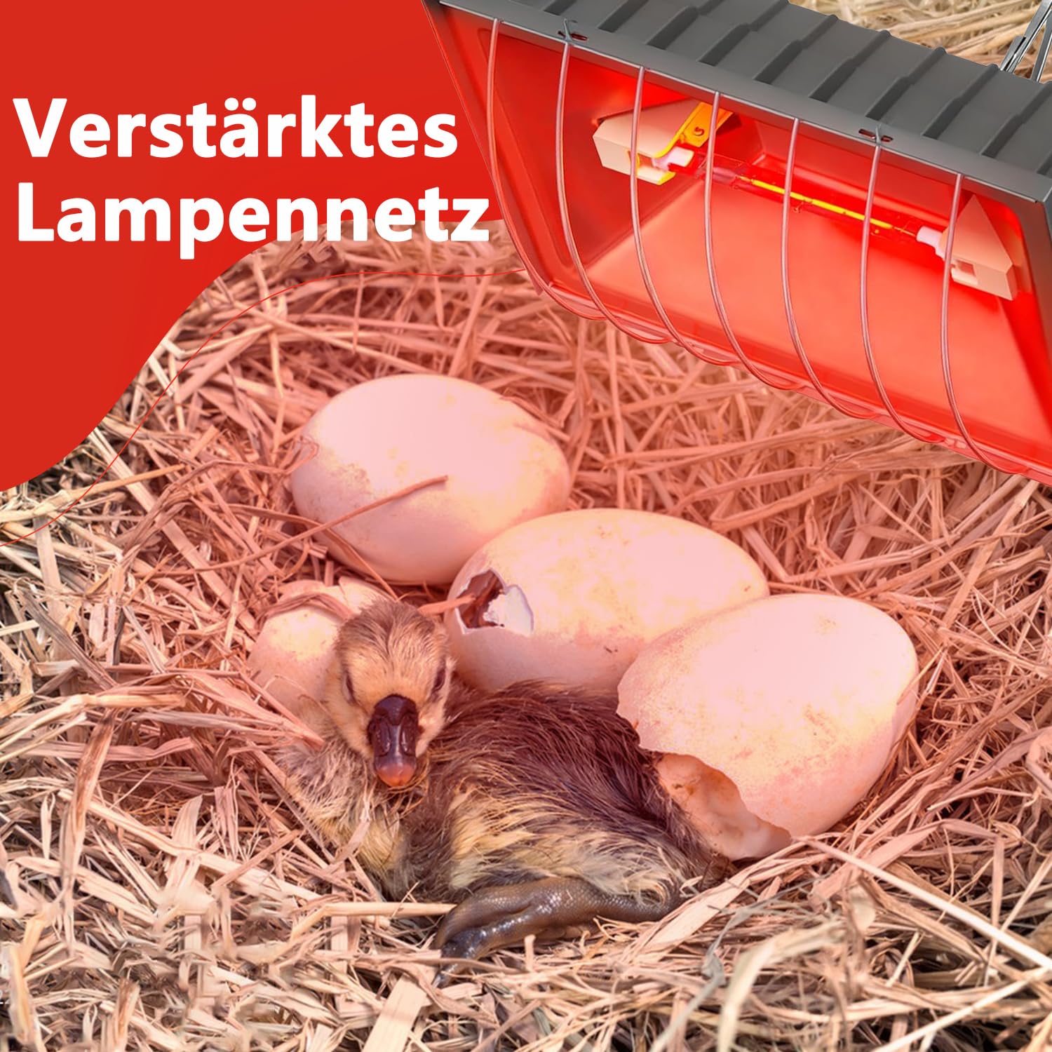Lampe à lumière rouge pour poussins, maison de volaille, avec interrupteur à économie d'énergie, câble de 1,8 m, lampe infrarouge thermostatique automatique, convient pour poussins, porcelets