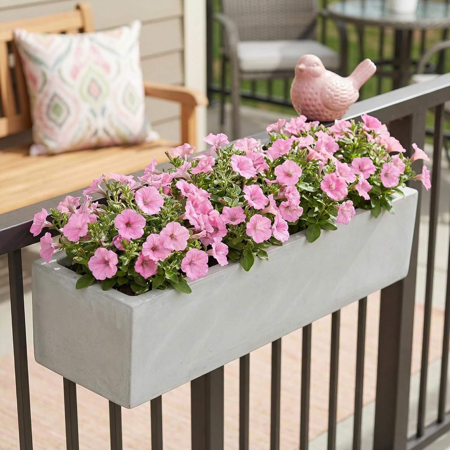 Proven Winners® Petunia Plant - Supertunia Vista Bubblegum - 2 Pack - Annual Flower for Spring & Summer Blooms - 6" Tall x 6" Wide, 1.56 Pt Pot