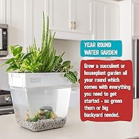 Vista 2 de Back to the Roots Jardín hidropónico de interior – Maceta de riego automático de 3 galones, sin desorden para hierbas, microverdes, bambú