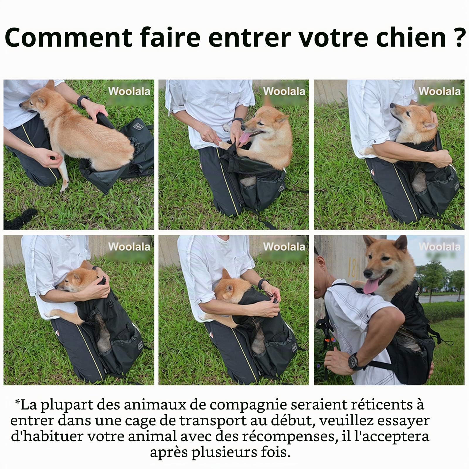 Woolala Sac à dos léger pour chien de petite et moyenne taille, approuvé par les vétérinaires pour les voyages – Facile à transporter et économie de l'espace