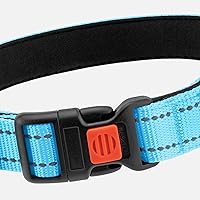 Vista 9 de CollarDirect Reflective Dog Collar for a Small, Medium, Large Dog or Puppy with a Quick Release Buckle - Boy and Girl - Nylon Suitable for Swimming