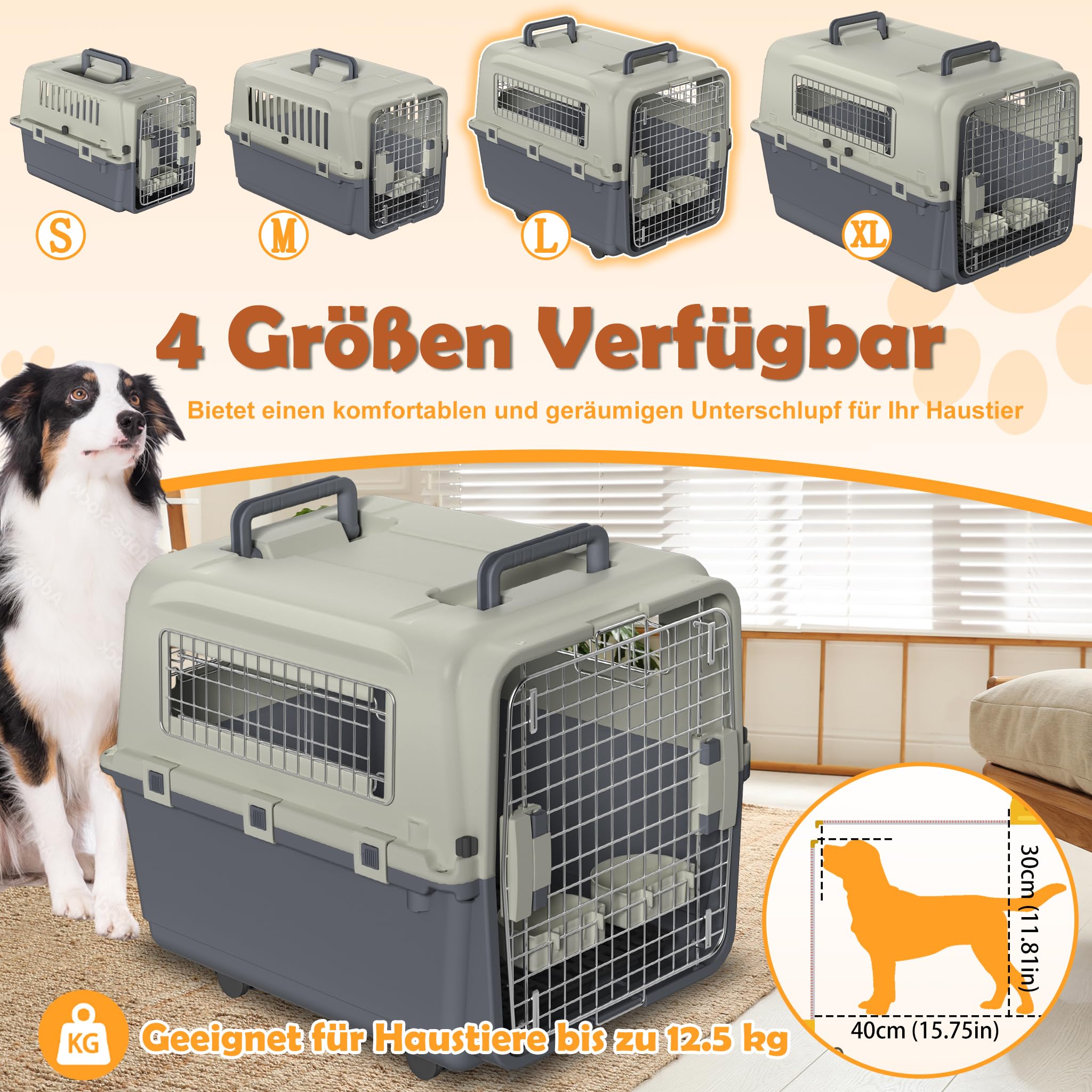 Hundebox Flugzeugbox Kunststoff Transportbox für Hunde und Katzen 67x51x58.5cm Hundetransportbox Katzentransportbox mit Futterbehälter und Urinabstandshalter Tiertransportbox, Dunkelgrau