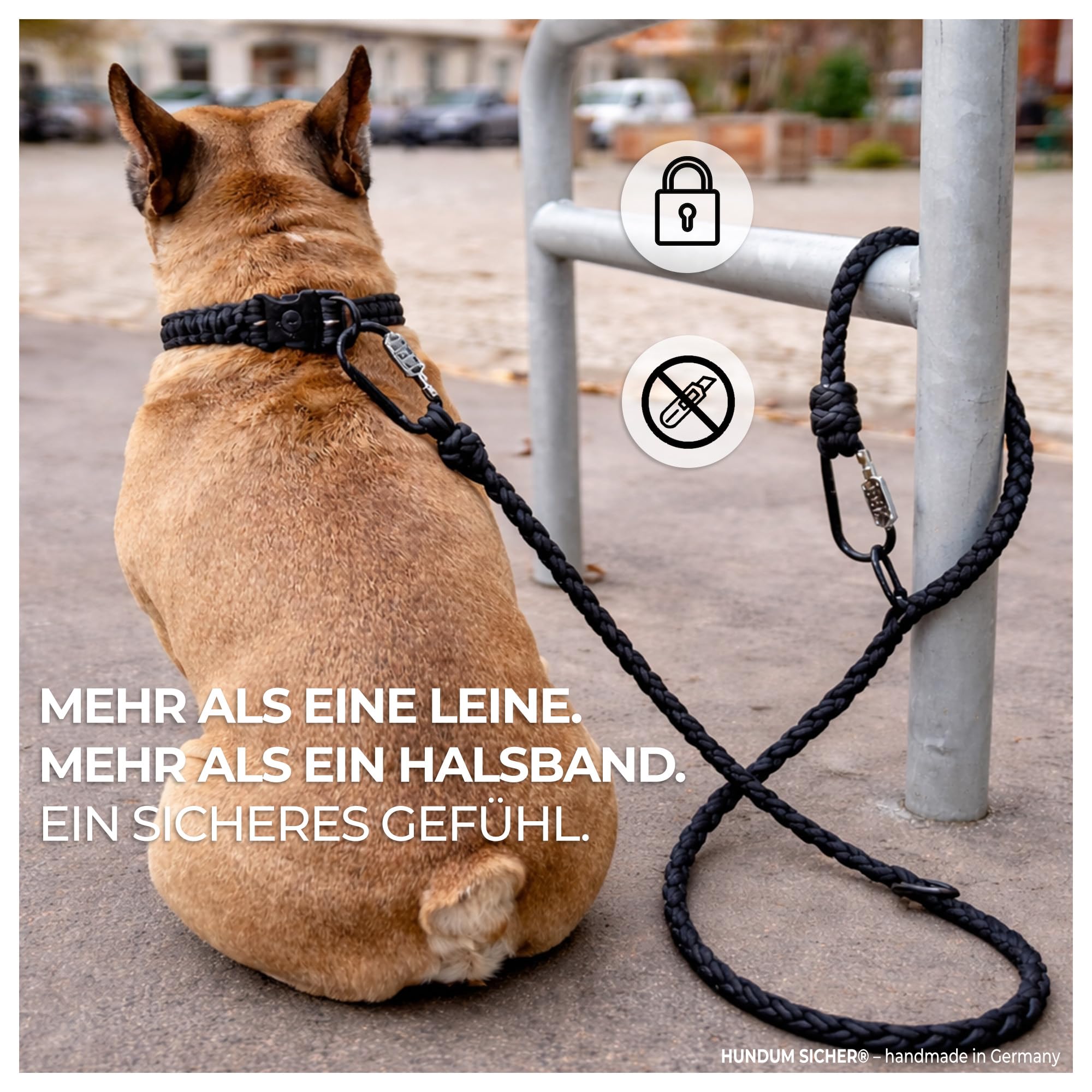 Anti-Diebstahl Hundehalsband & Leine für kleine Hunde - Abschließbar & schnittfest, Paracord Set mit Stahlseil-Kern (150cm)