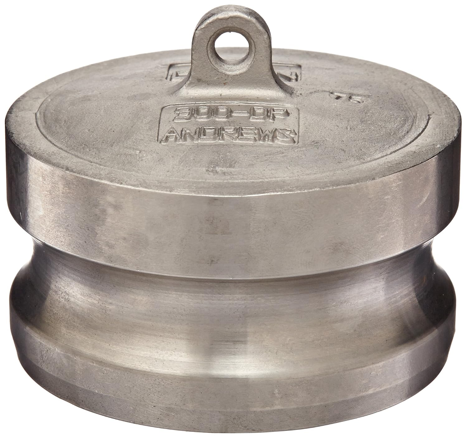 Dixon 300-DP-SS Stainless Steel 316 Boss-Lock Type DP Cam and Groove Hose Fitting, Dust Plug, 3"
