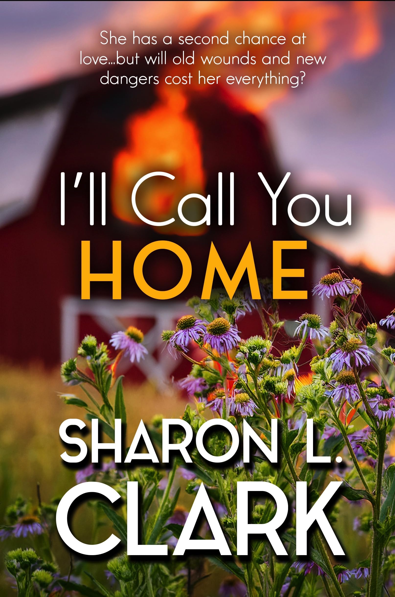 I’ll Call You Home (Enderlin Calling Book 2)