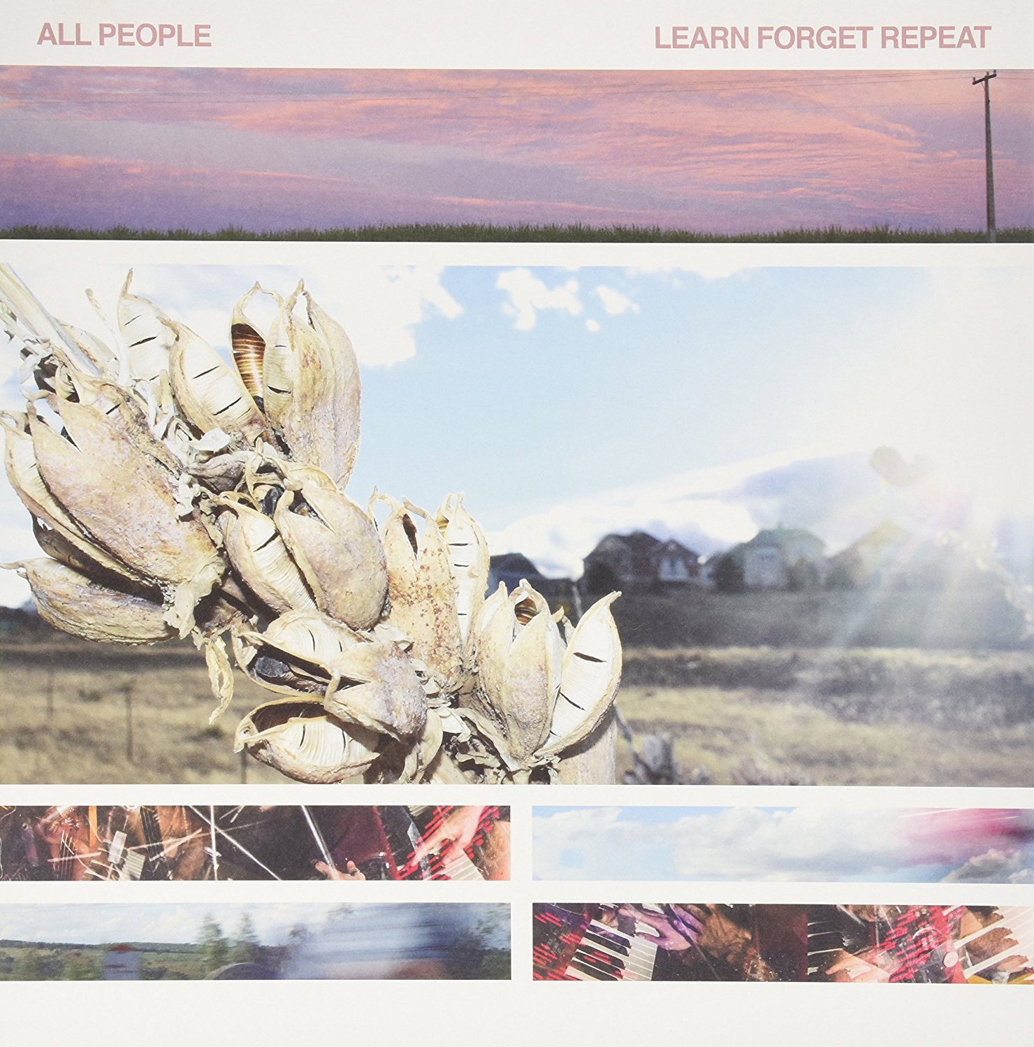 Learn Forget Repeat [VINYL]