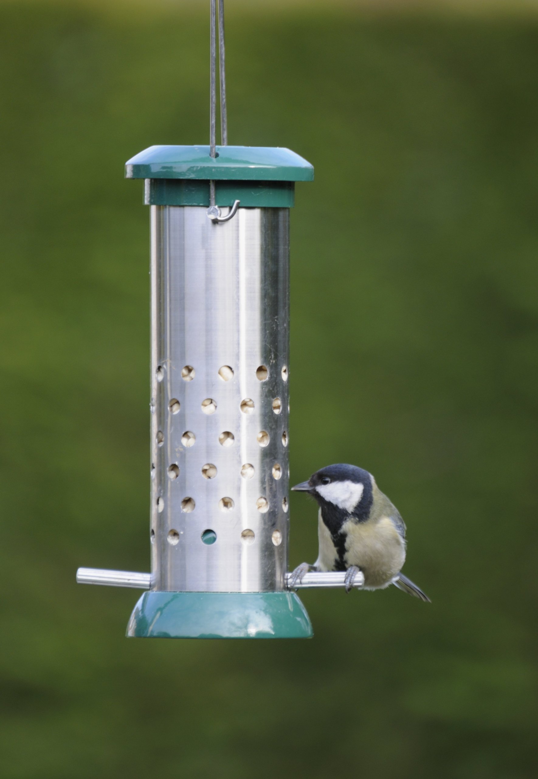 RSPB Premium Vogelfutterstation – Leicht Zu Reinigen, Ca. 38 Cm, UV-stabil