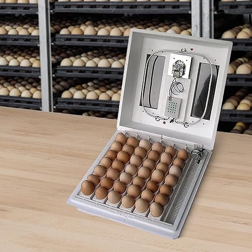 Vista 9 de Farm Innovators Incubadora de aire inmóvil con calefacción 2100 para 4 docenas de huevos con higrómetro integrado, circuito de estado sólido y 2