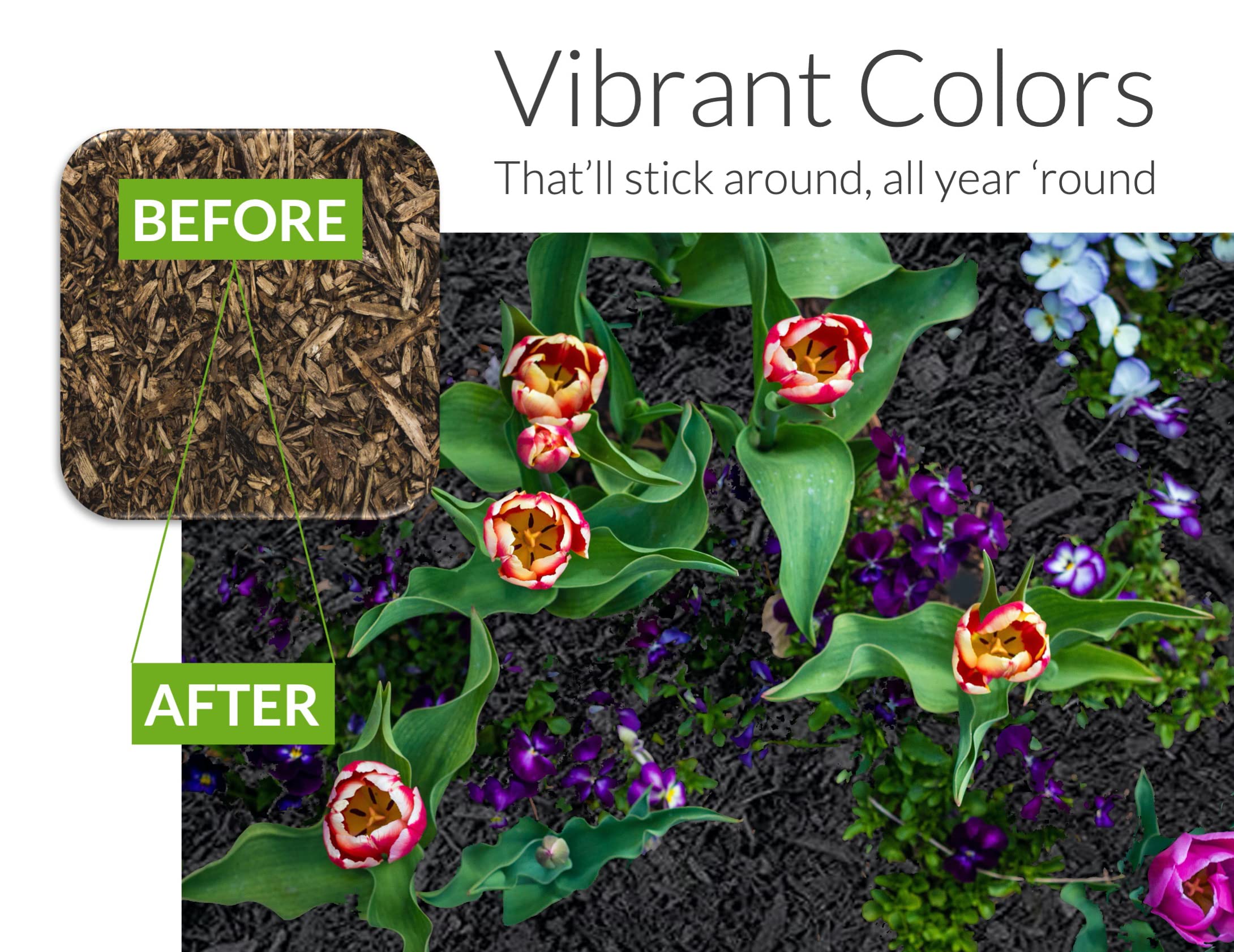 Peach Country Premium Black Mulch Color Concentrate 2,800 Sq. Ft. Pure Midnight Black Mulch