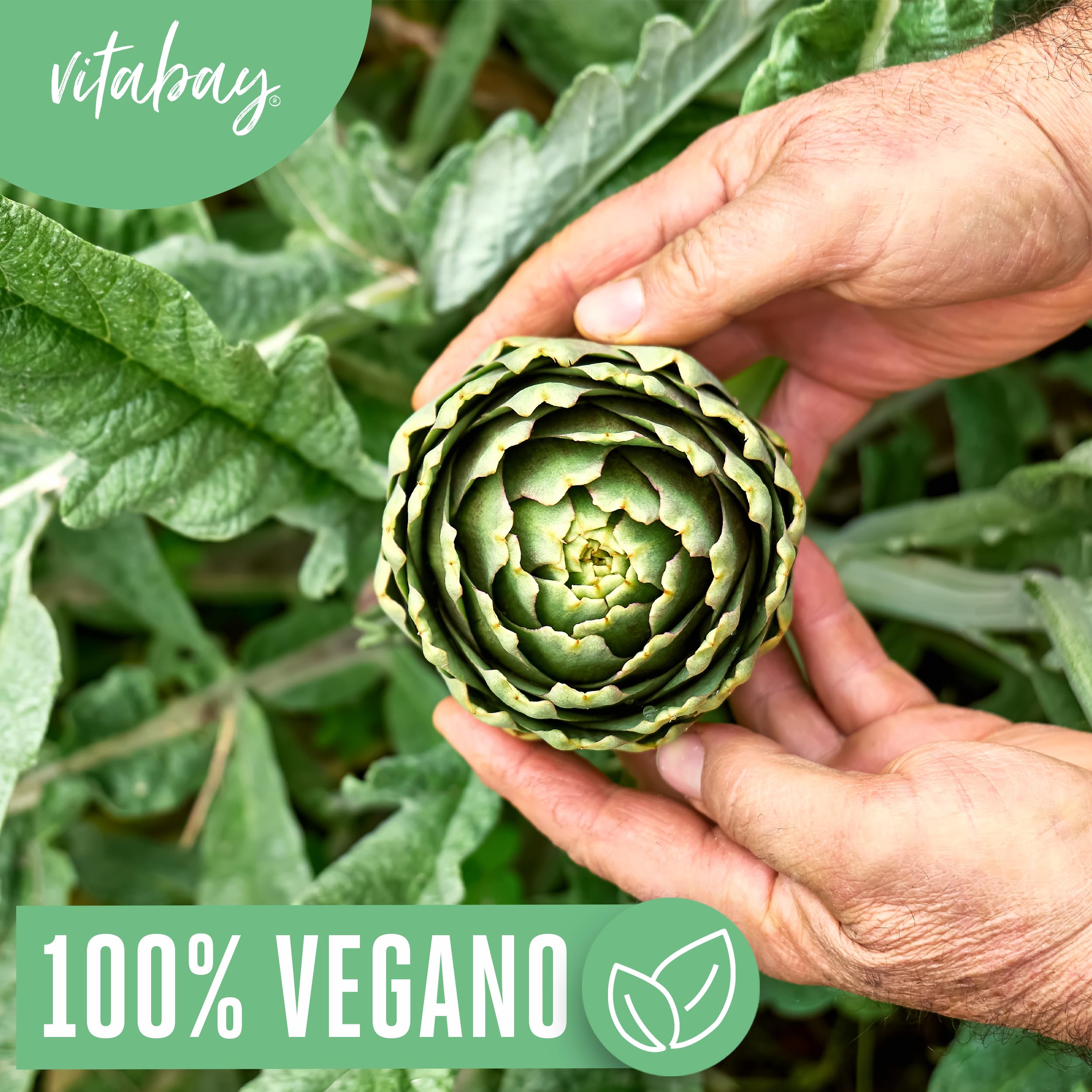 Alcachofa Concentrada 350 mg, 90 Cápsulas Veganas, Extracto con 2.5% de Cinarina