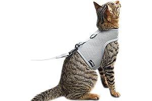Escape Proof Cat Harness and Leash Set for Walking, Breathable Mesh