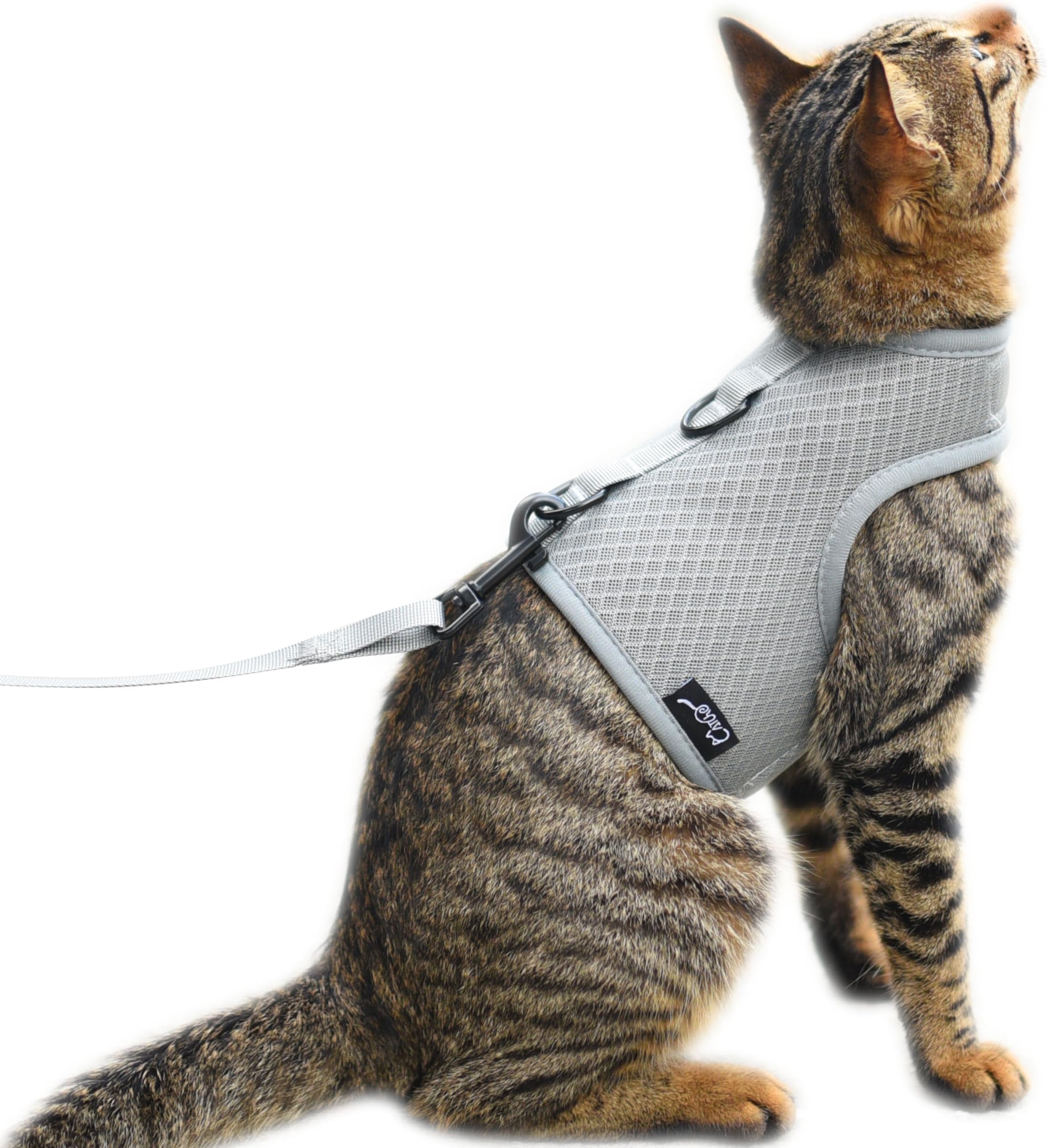 Cat Harness and Leash for Walking Escape Proof Breathable Mesh Fabric, Solid Grey, Medium, Adjustable Cat Walking Jackets, Padded Stylish Cat Vest
