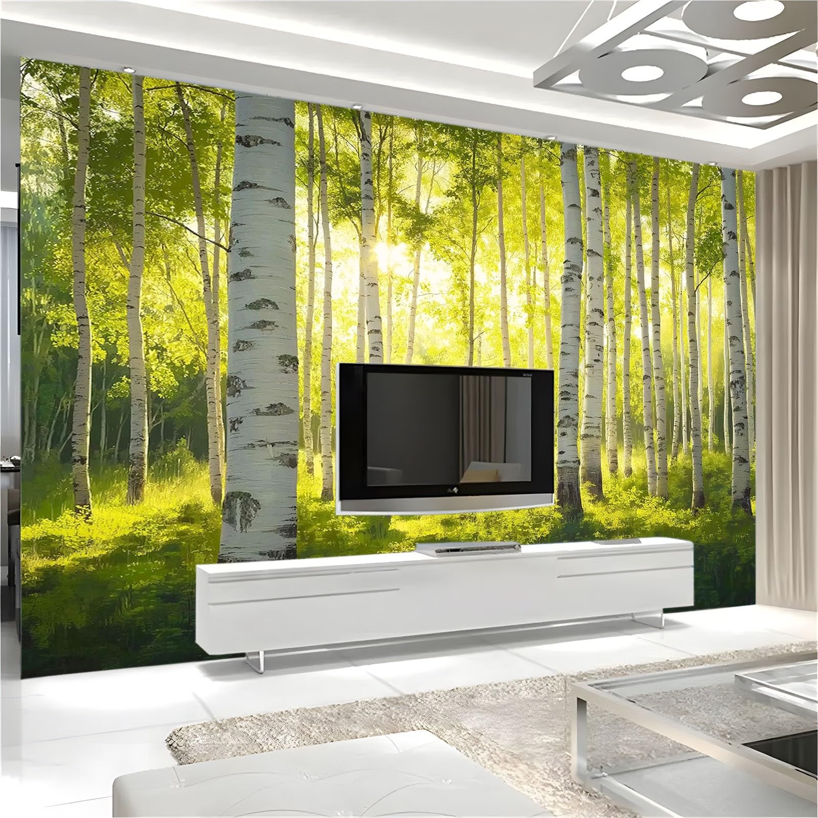 Fototapety Salon Naturalny Krajobraz Las Brzozowy Słońce 350 x 256 cm Fototapety 3D Włóknina Fototapety Dekoracyjne Fototapety Sypialnia Biuro Hotel