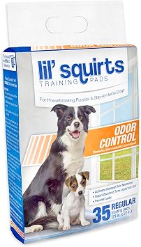RUFFIN IT 7N82006 Training Pads for Housebreaking Puppies, One Size 35 Pads