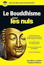 Download Le Bouddhisme Poche Pour les Nuls PDF