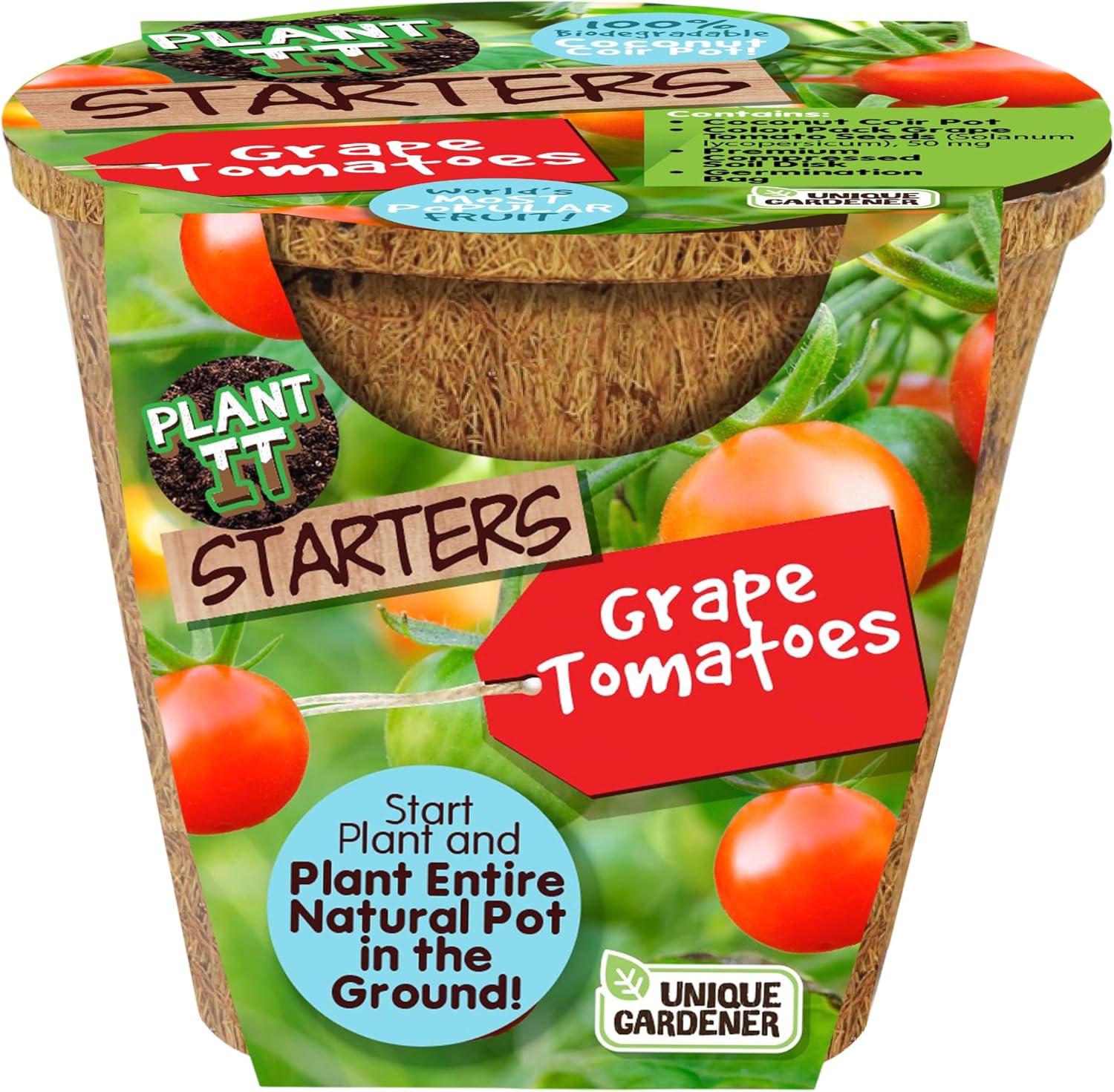 Unique Gardener Plant-It Starters Plant Seeds 4-Pack, DIY Indoor Succulents and Live Plants for Home or Garden Planting, Grape Tomato