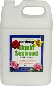 Maxicrop 2002 Liquid Seaweed Plus Iron Fertilizer، 1 -Gallon