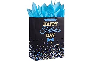 Festive 13" Father's Day Gift Bag with Tissue Paper