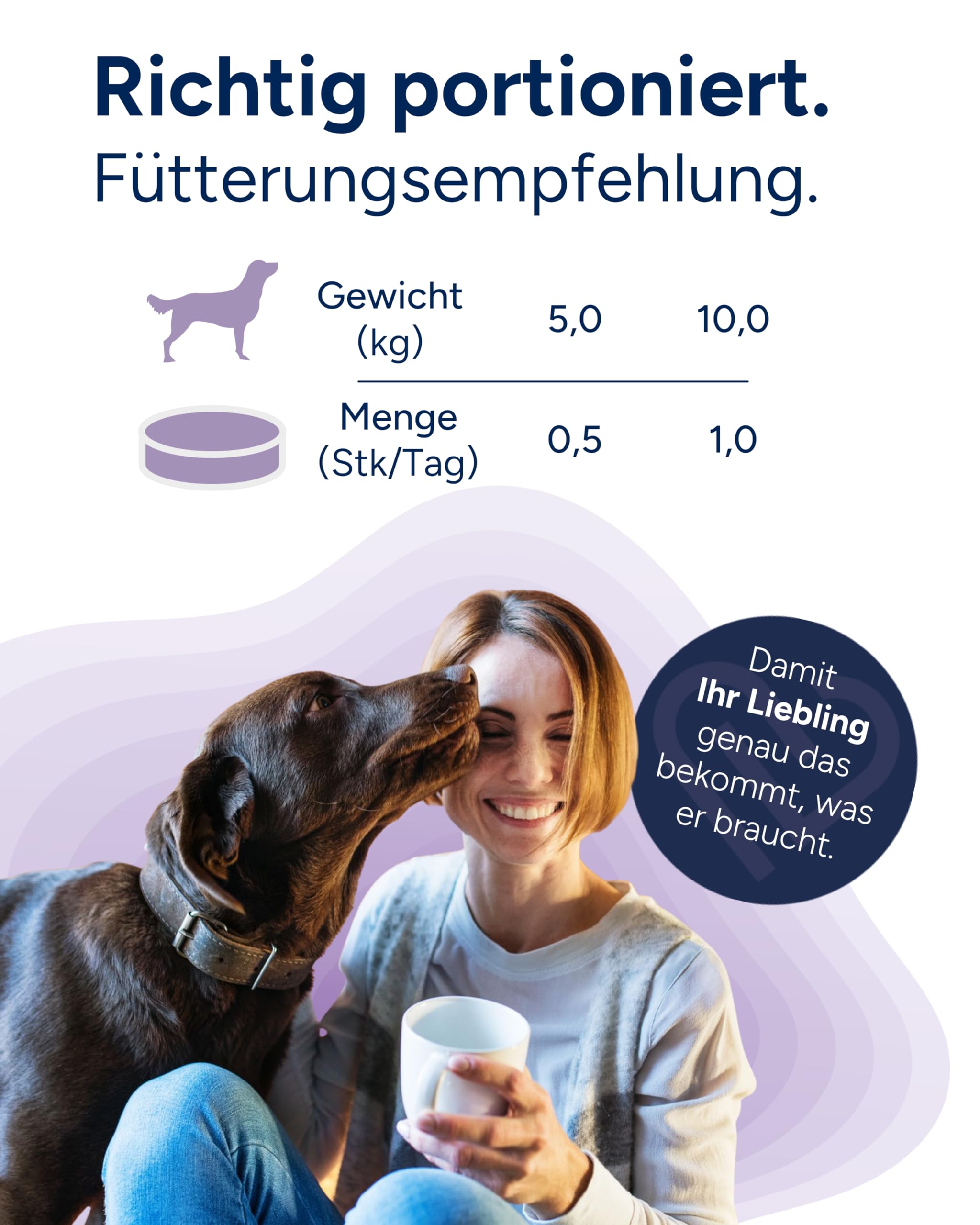 NutriLabs Zilcalm Beruhigungstabletten für Hunde - 90 STK. - mit Milchprotein, Ashwagandha, Probiotika, L-Tryptophan UVM. - Beruhigungsprodukte für Hunde - Nahrungsergänzungsmittel Hund