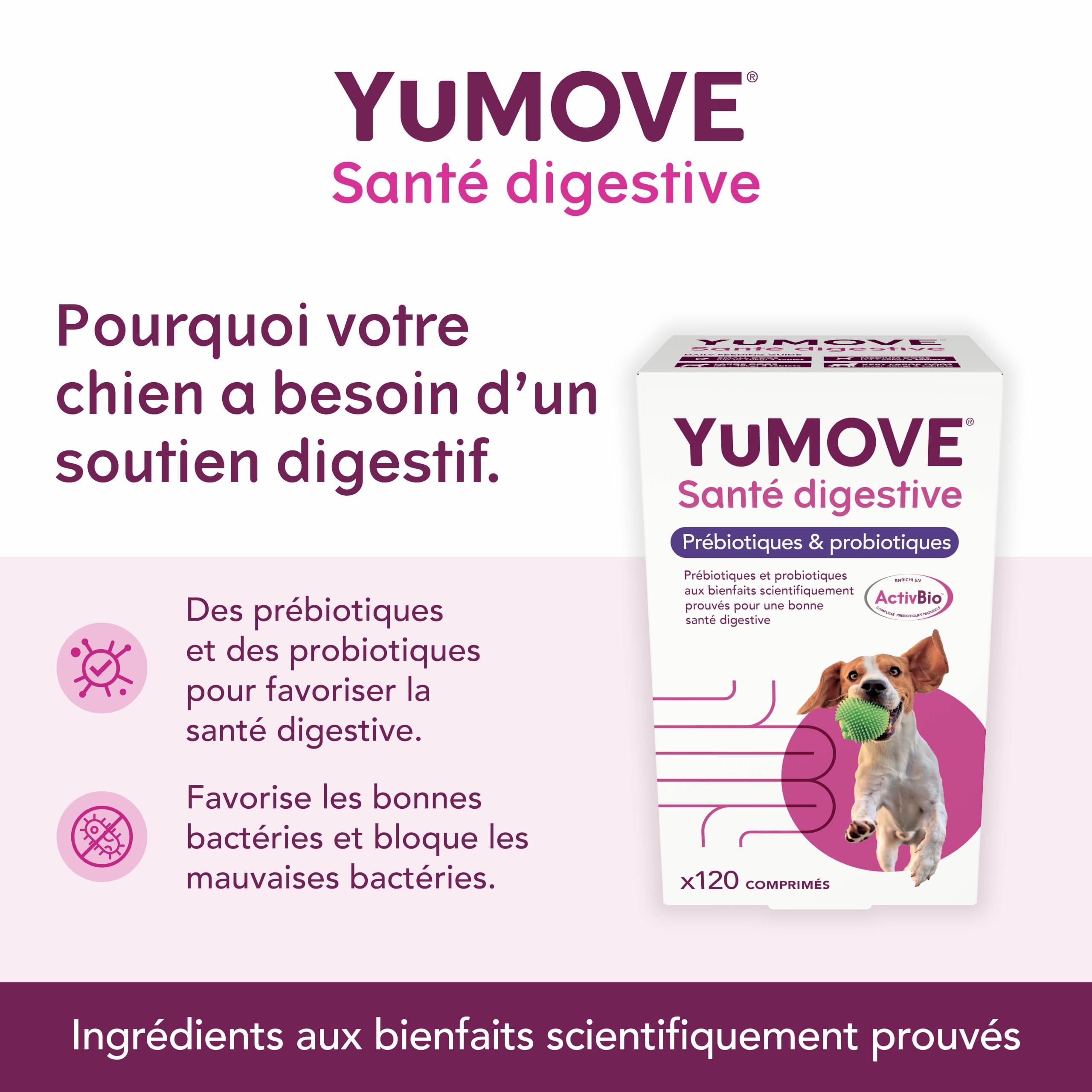YuMOVE Probiotique Chien + Glandex pour Chien Superpack - Lot 120 Comprimés + 30 Bouchées - ActivBio, Digestion & Glande Anale Chien Routine Découverte