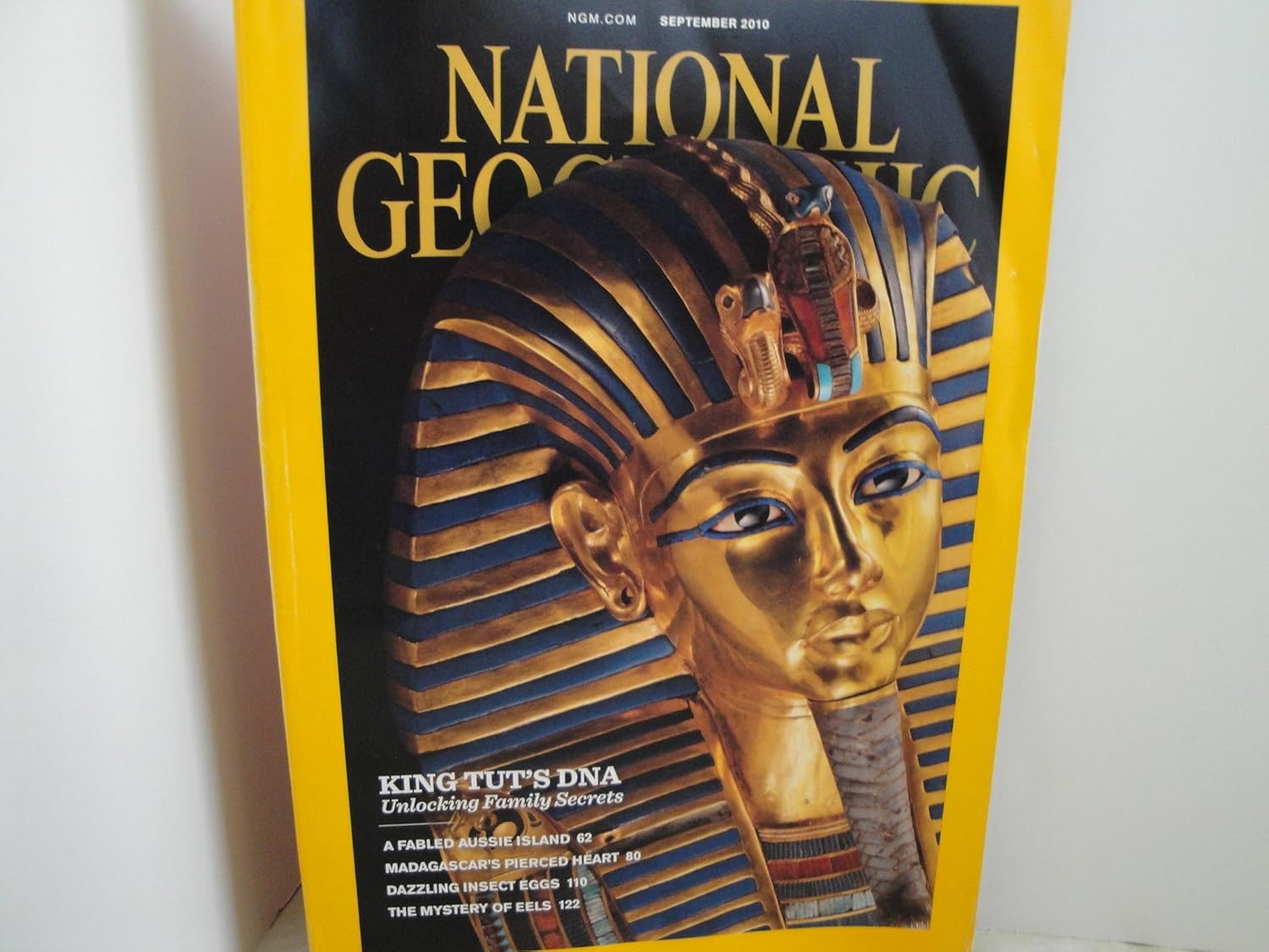 National Geographic (King Tut's DNA, 218) unknown author