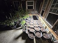 Review Image by rogerpallas rogerpallas