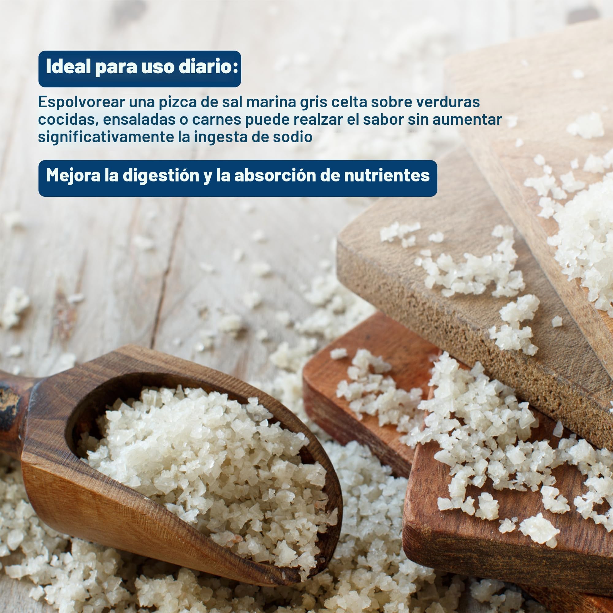 Seba Garden - Bolsa resellable de 1 kg de sal marina celta gris certificada orgánica, cosechada a mano, contiene más de 82 minerales esenciales