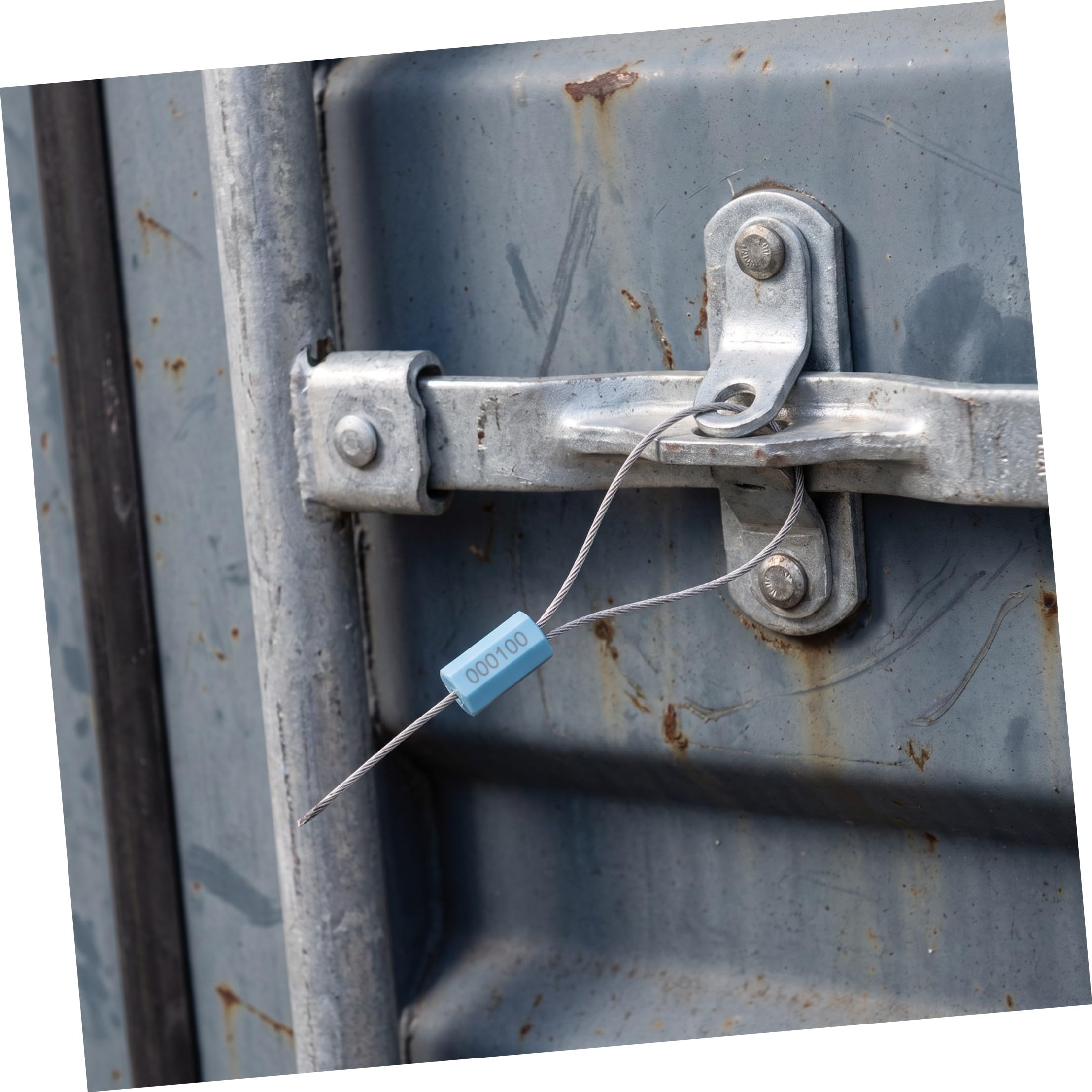 POPETPOP 100 Pezzi Sigillo di Sicurezza a Cavo Tensionato Numerato Abs per | Filamento in Acciaio Zincato, Meccanismo Monouso Antimanomissione, Installazione Rapida senza Utensili