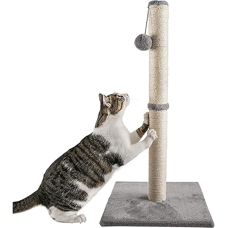 scratch posts amazon