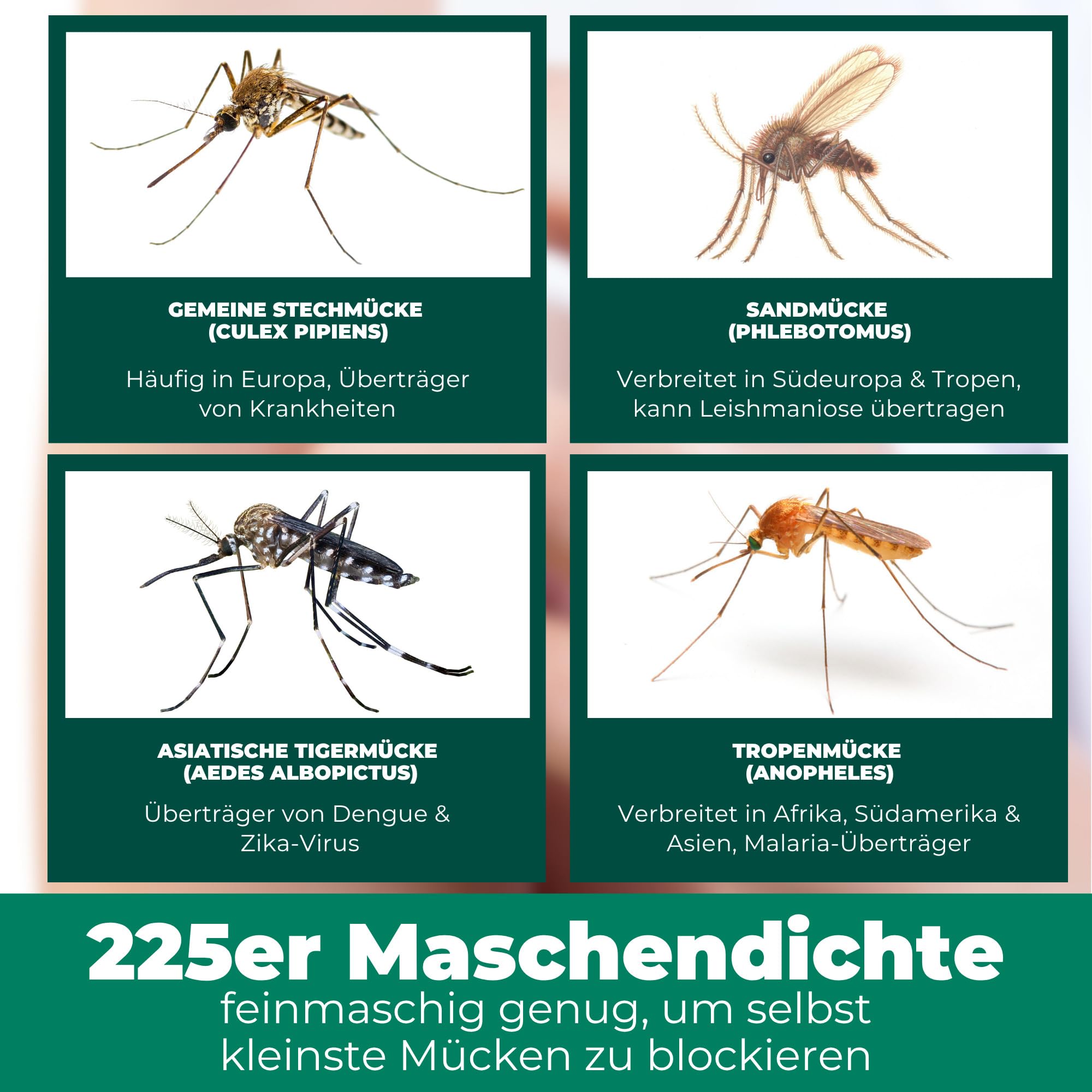 Silberkraft Moskitonetz XXL für Doppelbett - Mückennetz mit Reißverschluss-Öffnung, inklusive Klebehaken, geeignet für Reisen und zu Hause, feinmaschiges Netz, mit Beutel zur Aufbewahrung