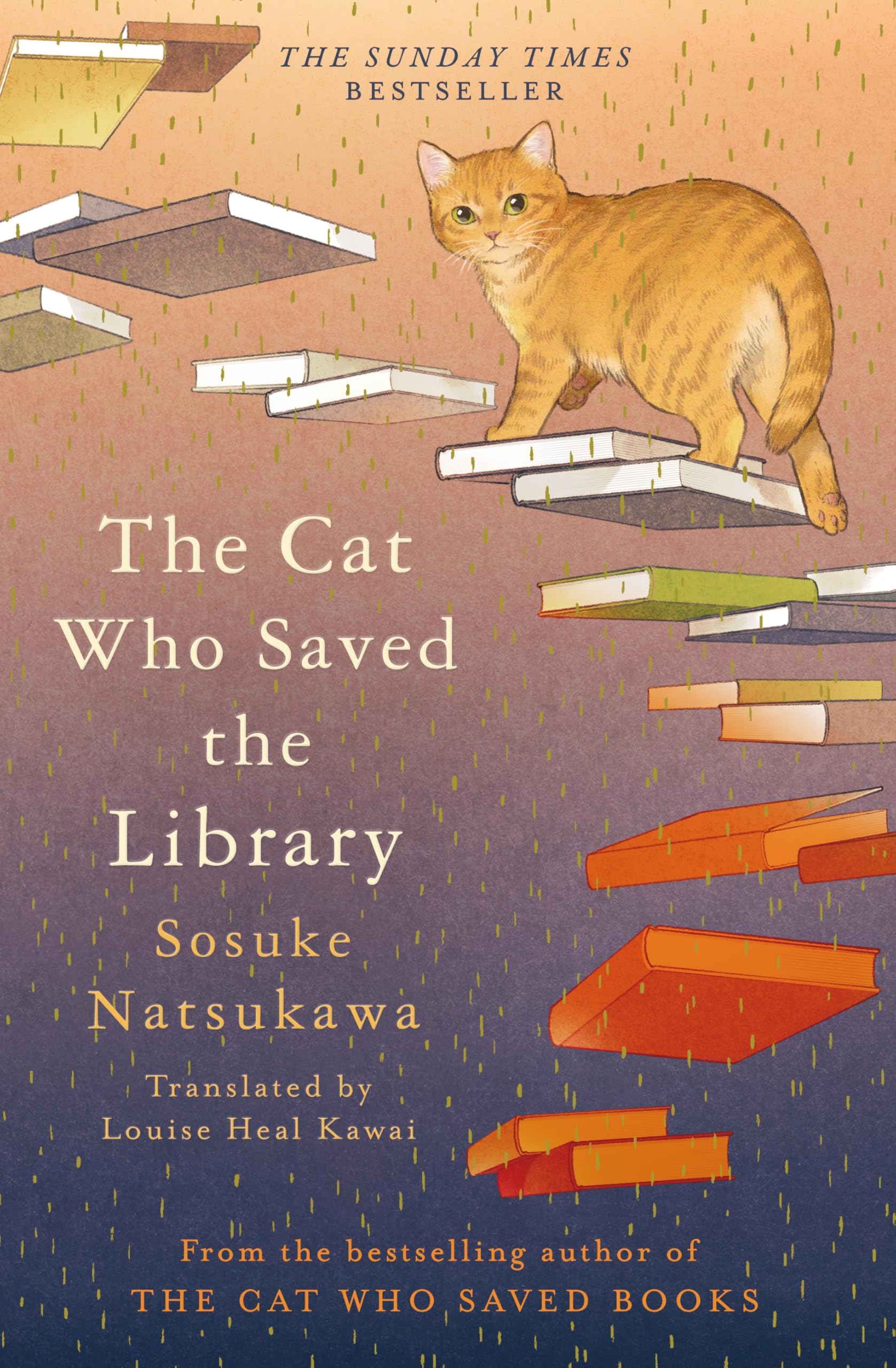 The Cat Who Saved the Library by Sosuke Natsukawa HARDBACK 9781035050604