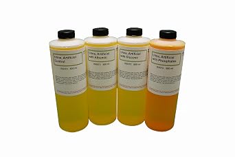 ALDON Innovating Science - Understanding Urinalysis - Demonstration of Urinalysis Techniques - Set of 4 Control, Albumin, Glucose, Phosphates- Cannot be Used for Drug Test Evasion