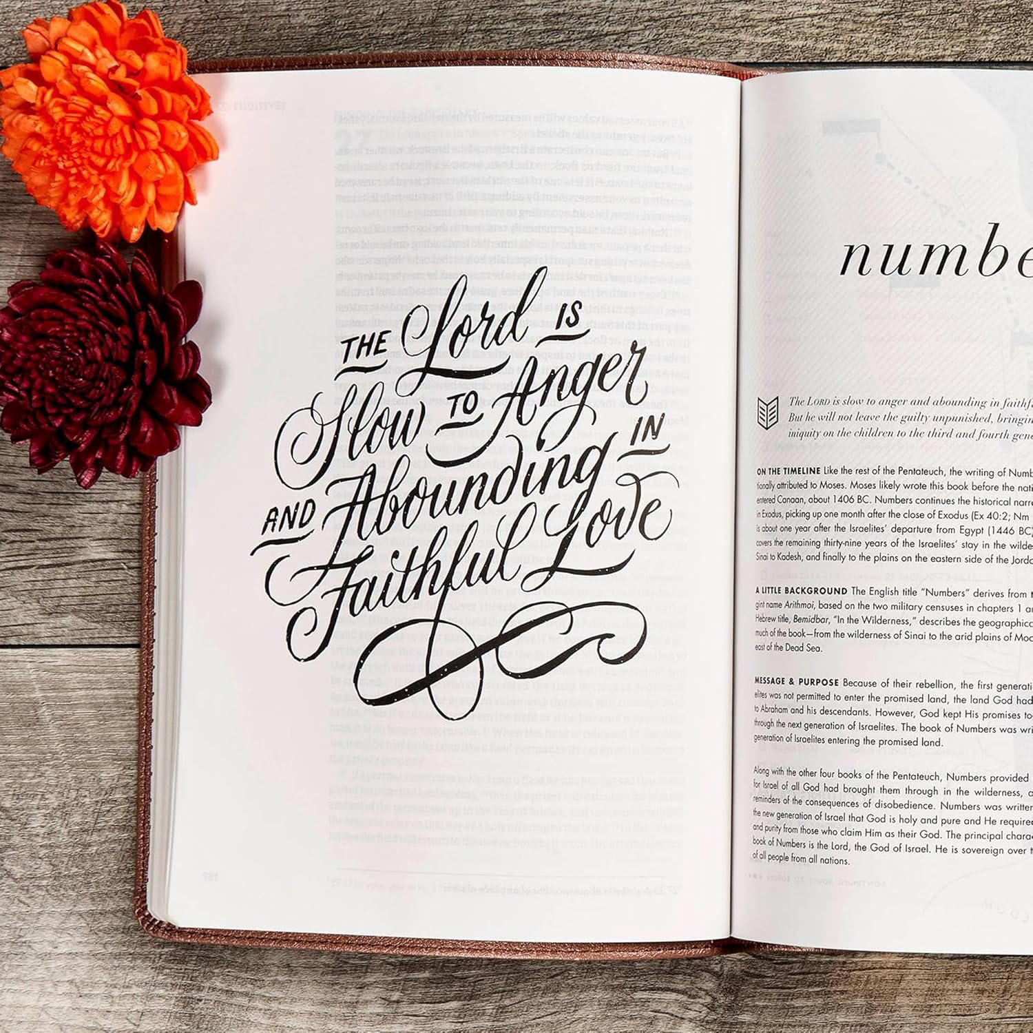 Personalized CSB She Reads Truth Community Study Bible Faux Leather Medium Print Size | Custom with Full Cover Floral Vines Design and Name | Gift for Christian & Religious Celebrations | Rose Gold