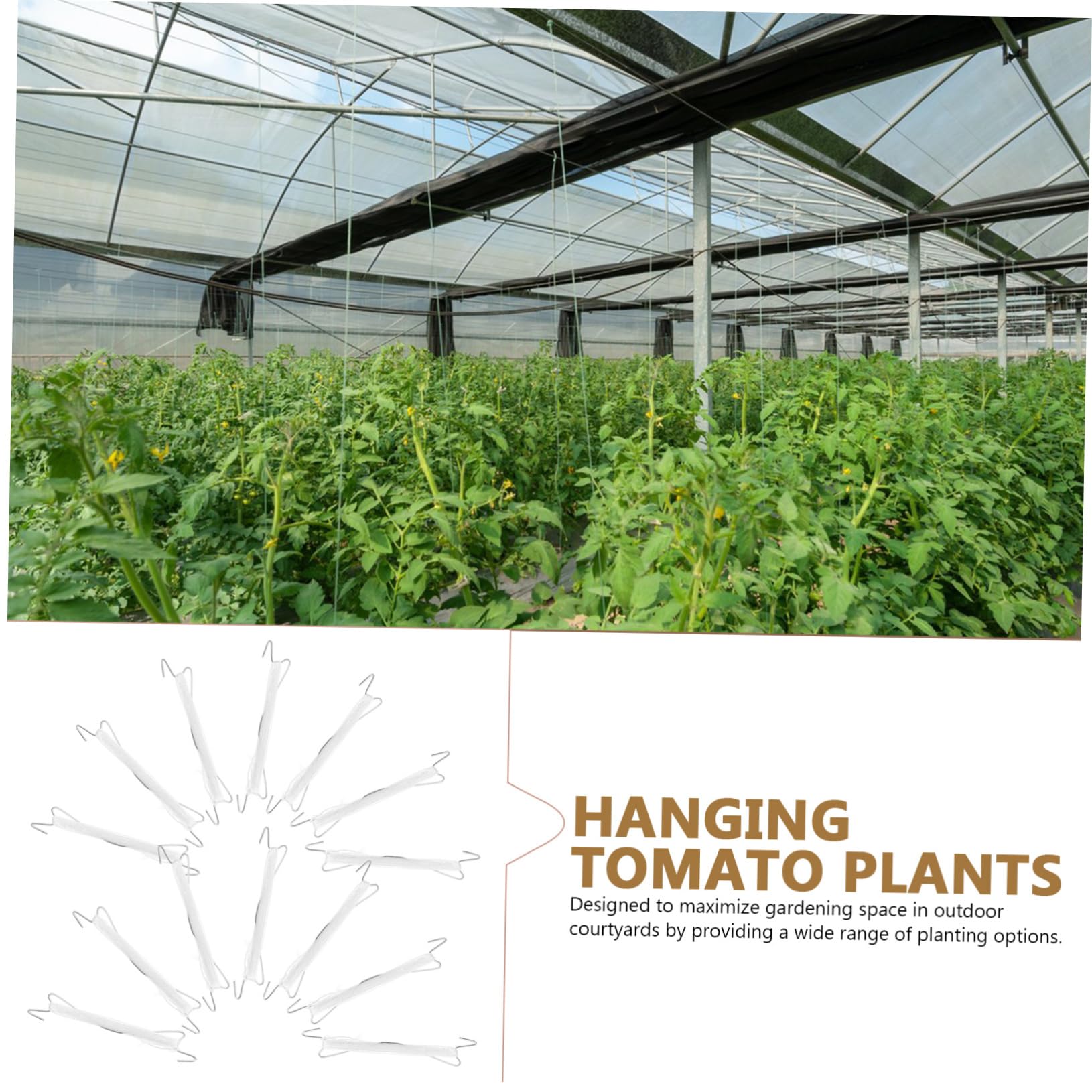 Supvox 4sätze Pflanzen-Clips Und Kletterhaken Für Tomaten Und Teiliges Gartenwerkzeug-Set Unterstützung Von Pflanzenranken Einfach Zu Bedienen Effizient Und Platzsparend