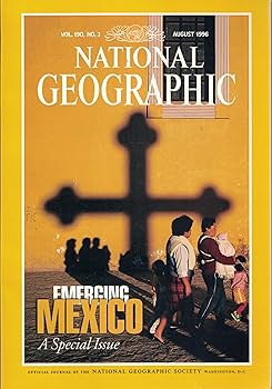 81ffzJZPZTL._AC_UF350,