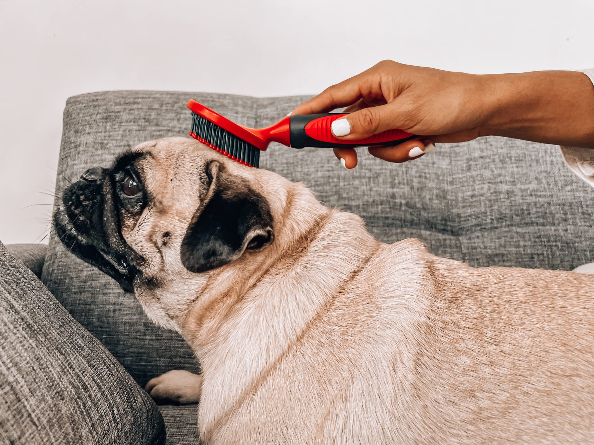 Cepillo ergonómico para cobertizo de perros | Cepillo de pelo de gato - Cepillo para cobertizo de gatos | Gran cepillo para desenredar para perros | Adecuado para todas las mascotas con pelo largo o