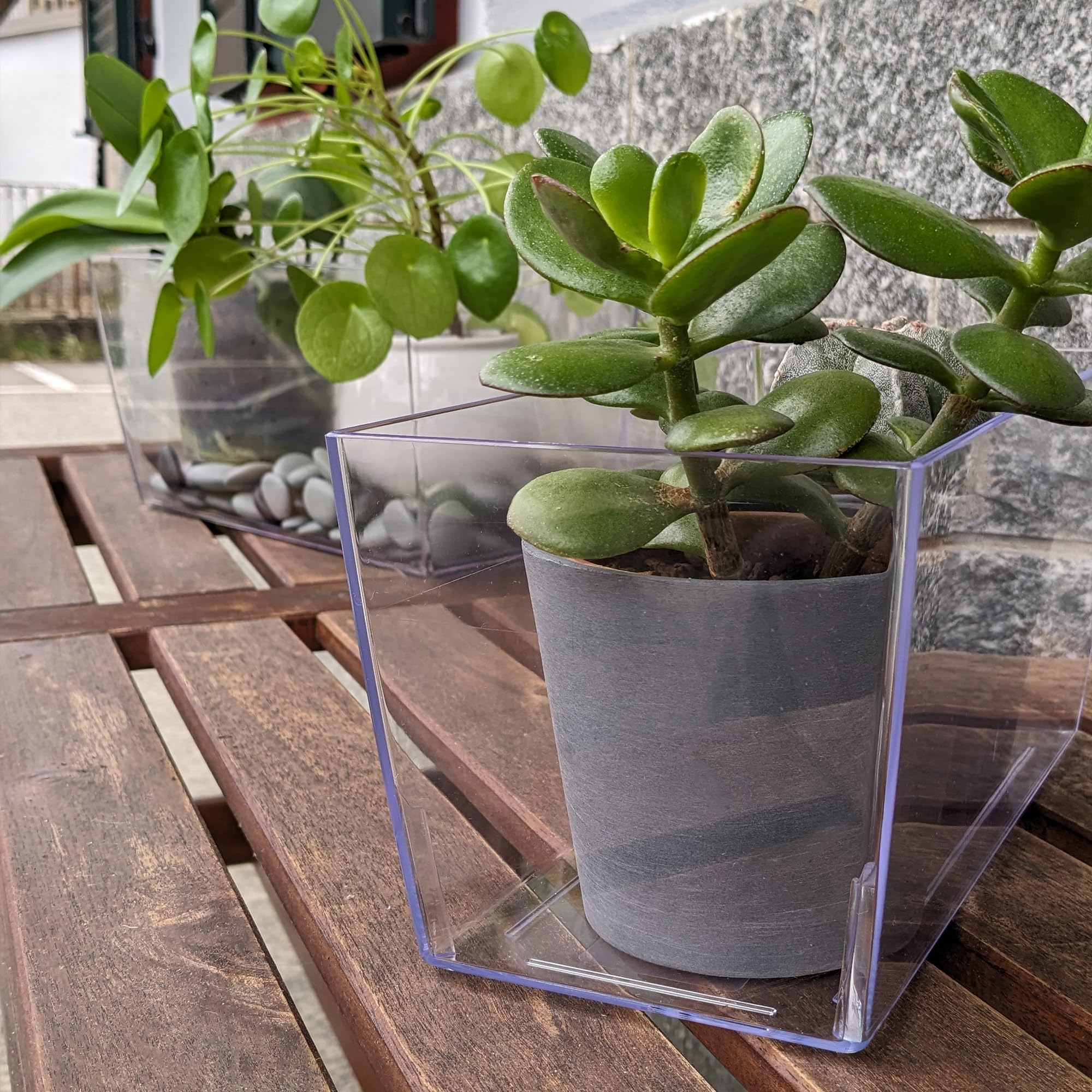 Vaso Plastica Trasparente Rettangolare realizzato in plastica riciclata e riciclabile, vaso per piante da interno ed esterno, (30cm x 15cm x 14cm) (Confezione da 2)