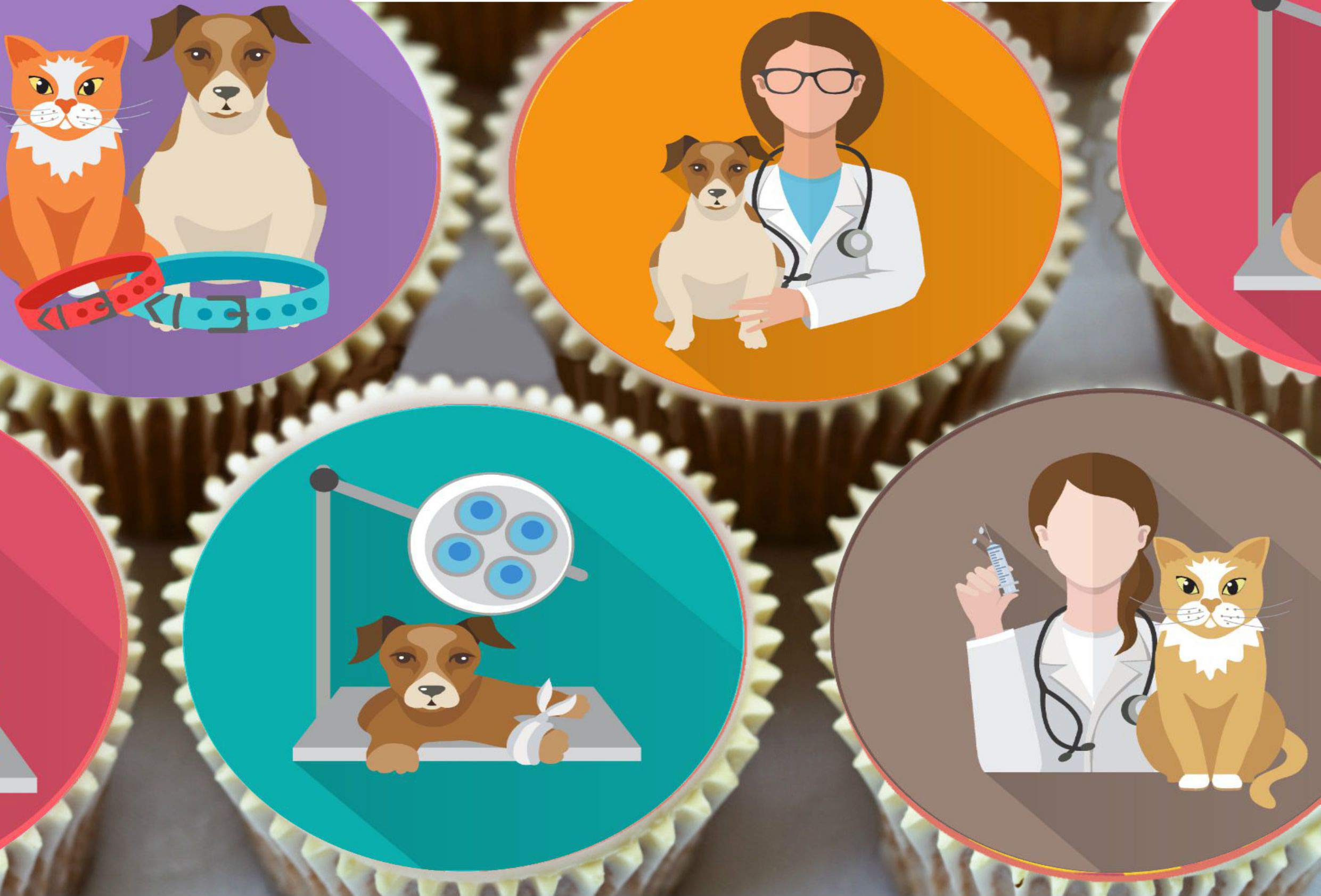 HARBETH 24 Vets pre-cut round edible cup cake topper decorations