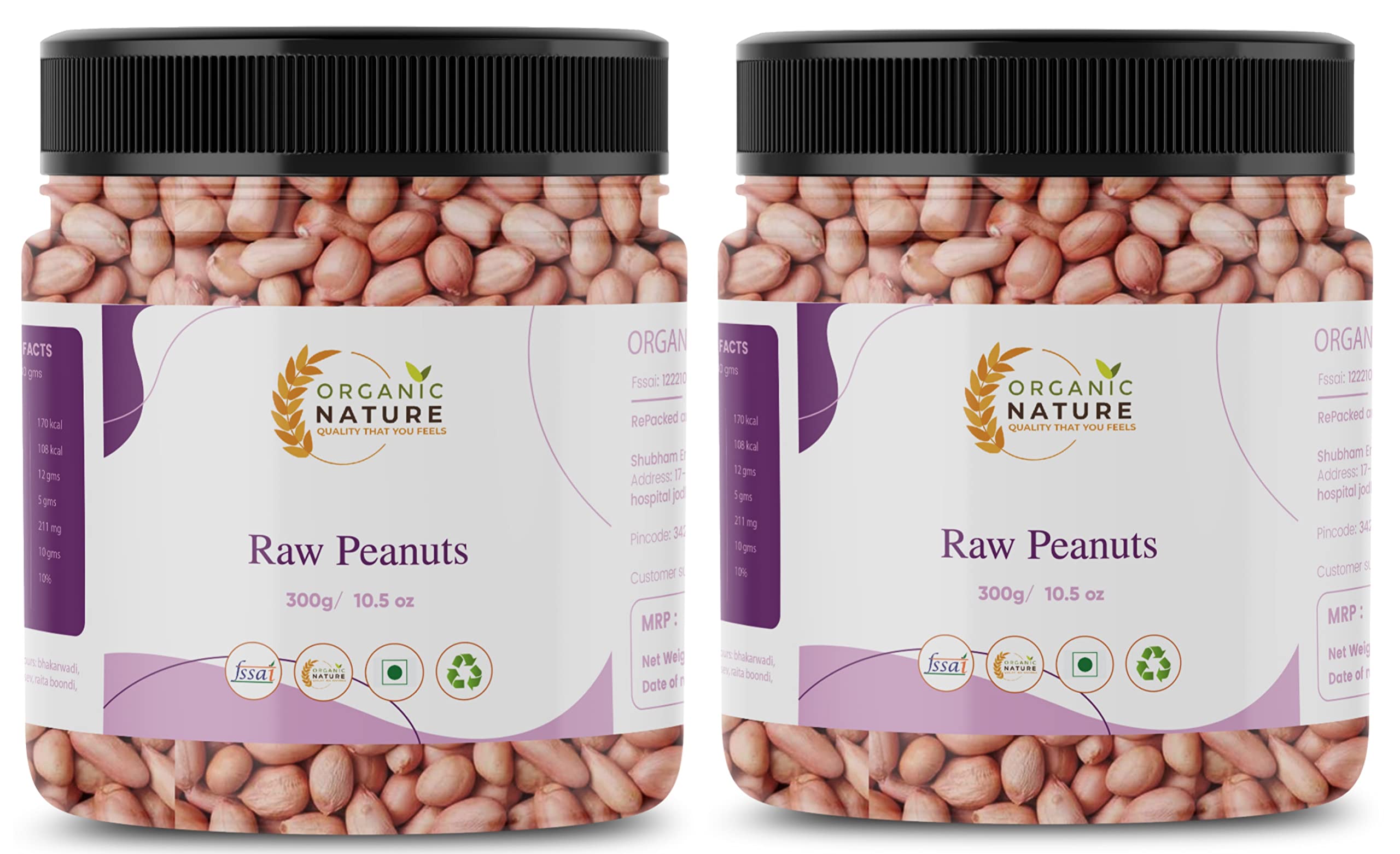 ORGANIC NATURE Raw Peanuts Jumbo Size Raw Peanut Desi Singdana Pack of 2 of 250 Grams Total 500 Grams Whole Groundnut Mungfalli dana Pure Sabut Mungfalli Jar Pack